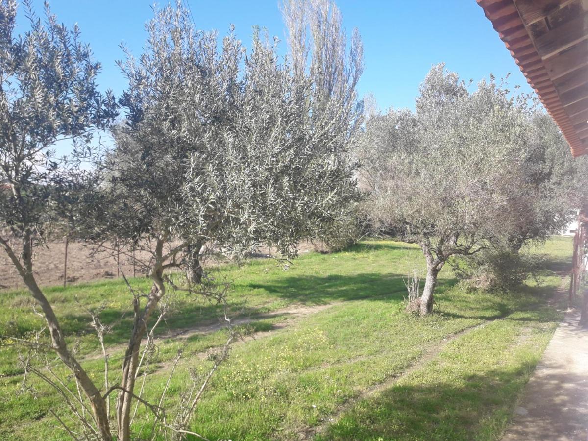 Olympian Garden Home Agios Nikolaos  Exterior photo